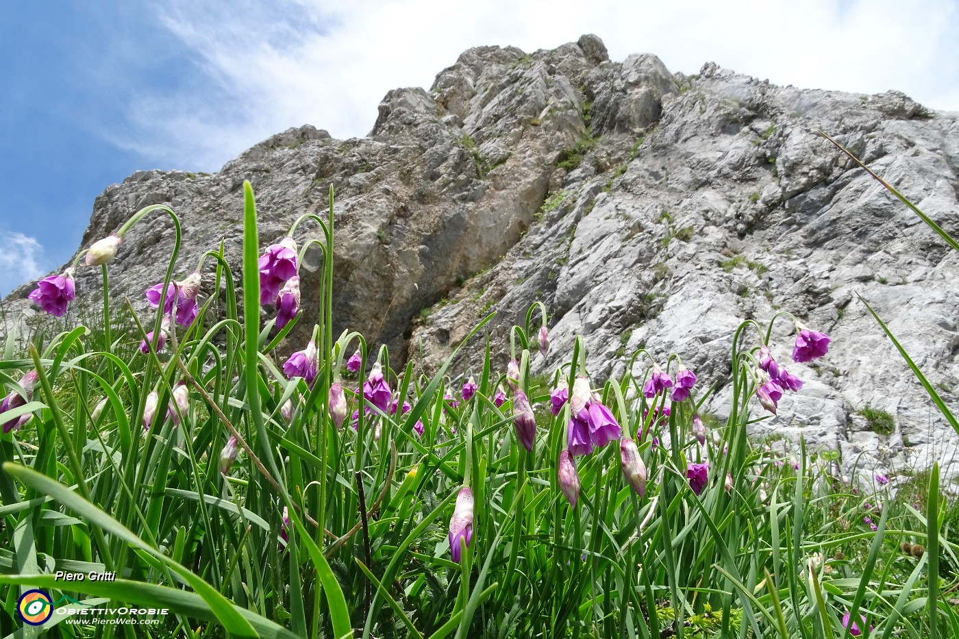 60 Aglio d'Insubria con vista in paretti di Corna Piana.JPG